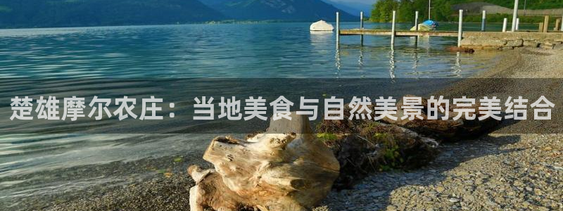 必一体育下载app