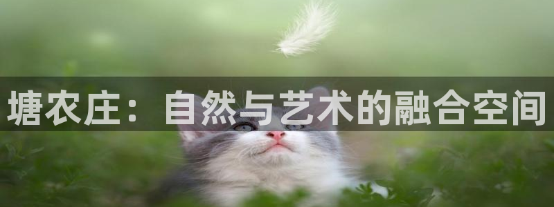 必一体育app下载最新版本