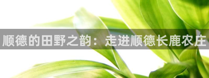 必一体育bsport下载
