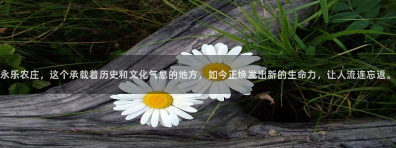 必一体育sport装机吧