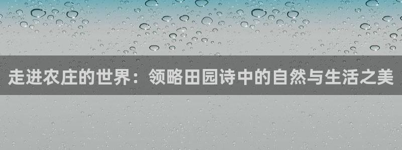 必一体育下载意思