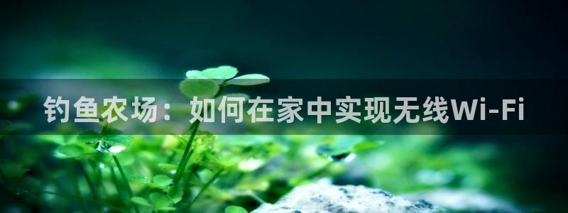 必一运动体