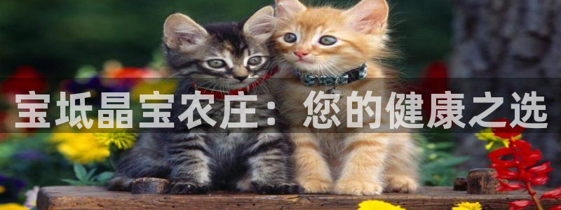 必一体育官方下载入口
