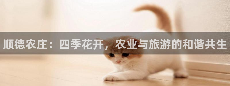 必一体育是啥