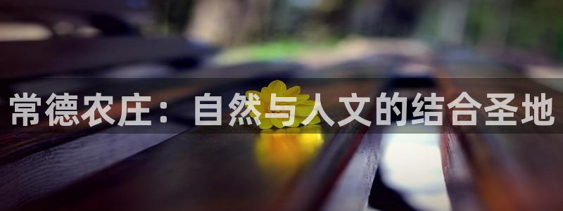 必一体育sport官网