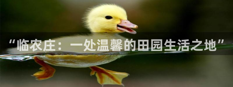 必一体育sportB体育