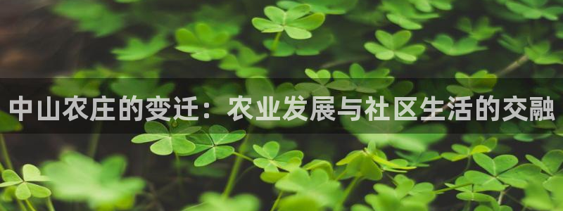 必一体育合法吗