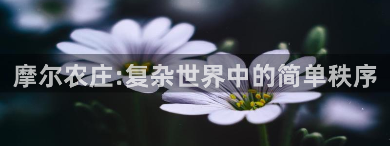 必一体育sport下载