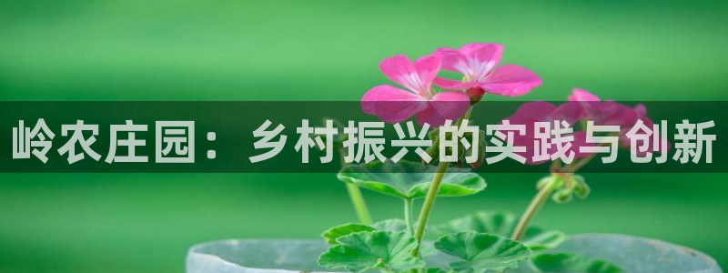 必一体育能提现大金额吗