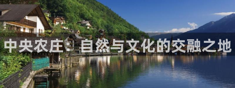 必一体育app官方网站