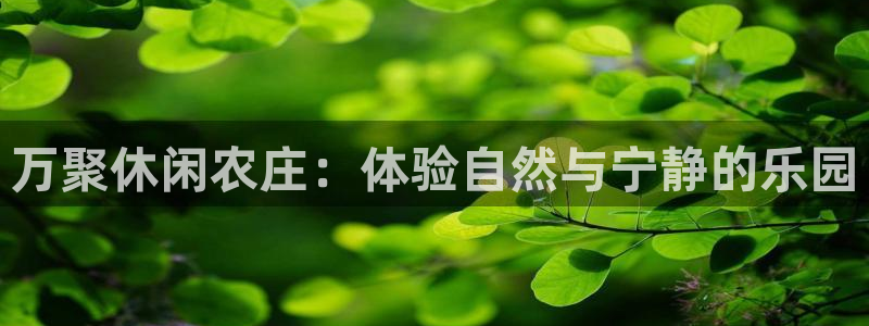 必一体育手机下载