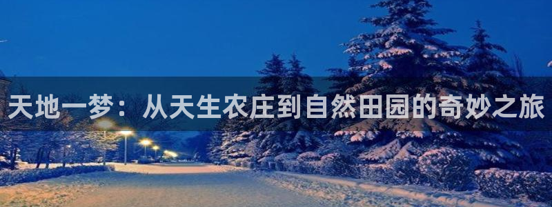 必一体育app官方网站