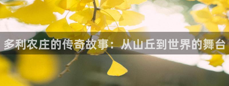必一体育sport官网