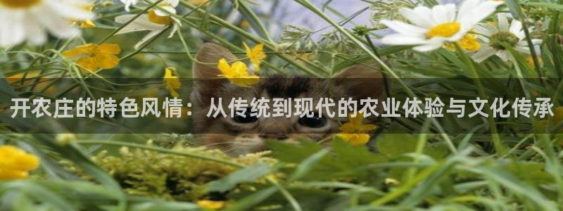 必一体育验证码