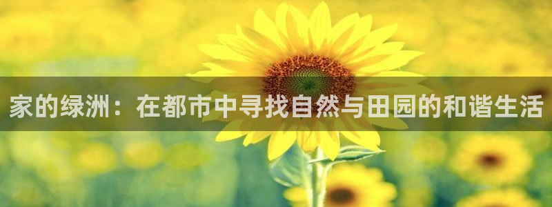 必一运动体育官网下载