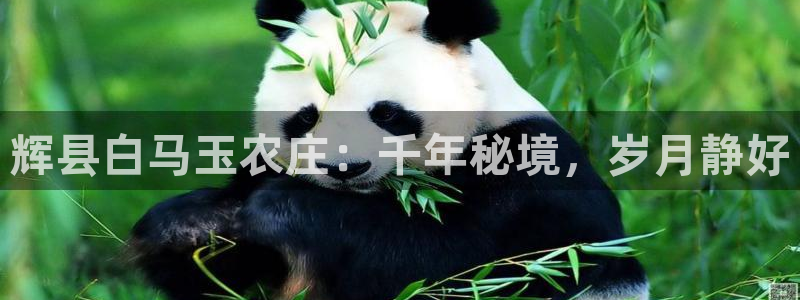 必一体育运动app下载