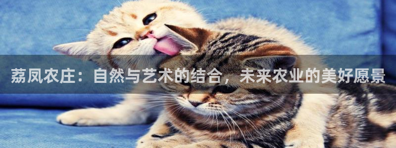 必一体育登陆