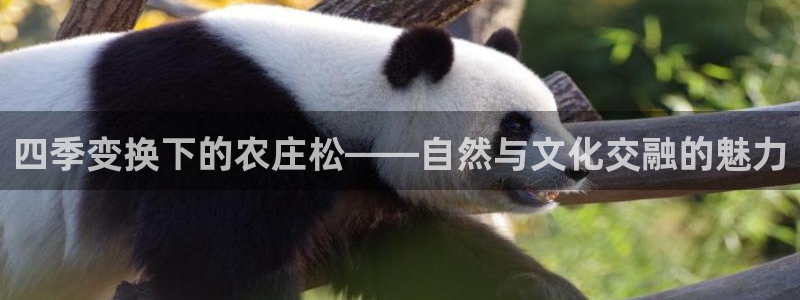 必一运动官网平台