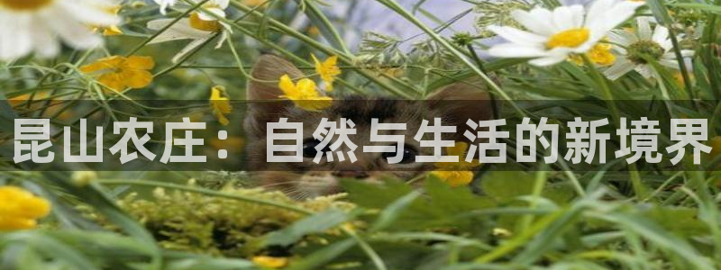 必一体育下载入口