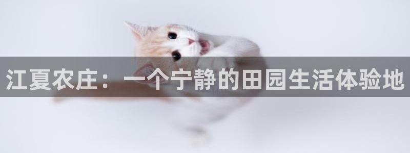 必一体育是啥