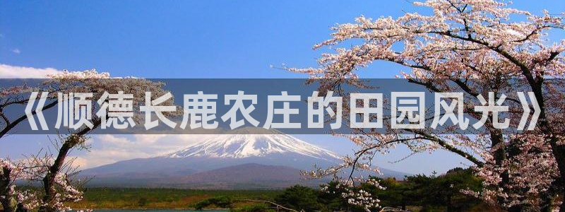 必一体育是啥