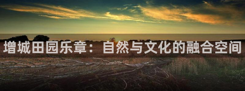 必一体育app下载装机吧