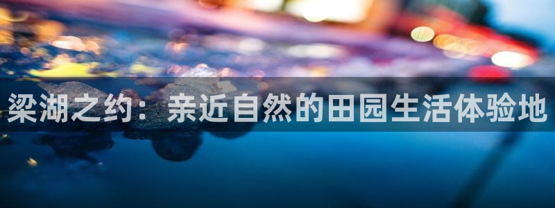 必一体育是啥