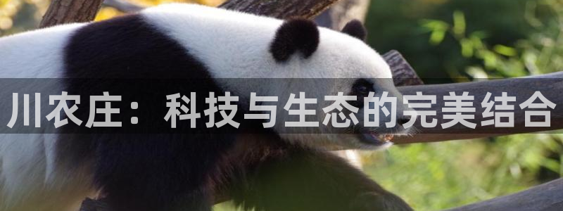 必一运动·(B-Sports)