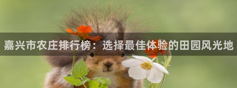 必一体育APP