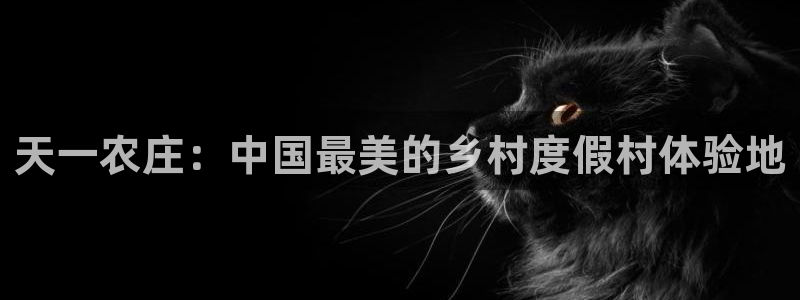 必一体育下载秀给网