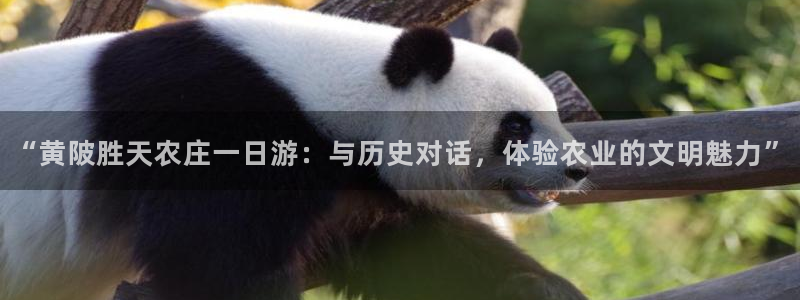 必一体育bsport2023-04-21
