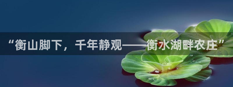 必一体育app官方正版下载