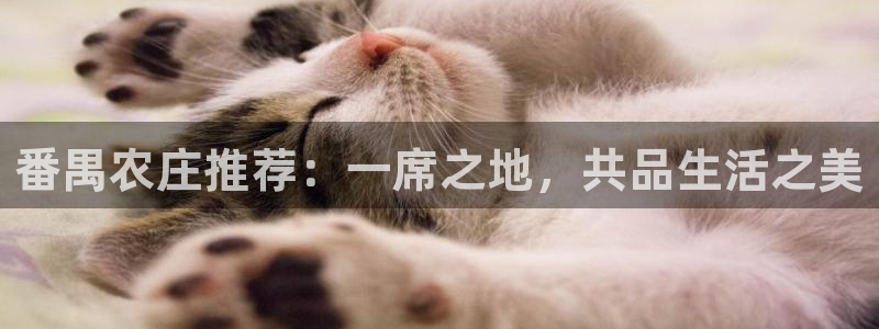 氵必一一厂一