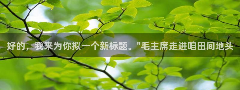 必一体育验证码