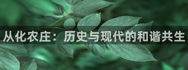 必一体育皮尔斯