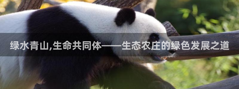 必一运动·(B-Sports)