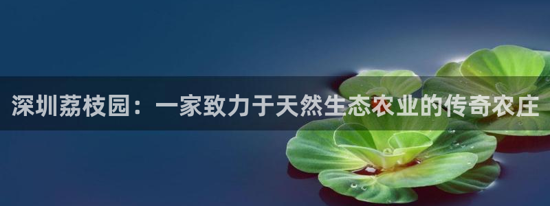 必一运动sport网页版