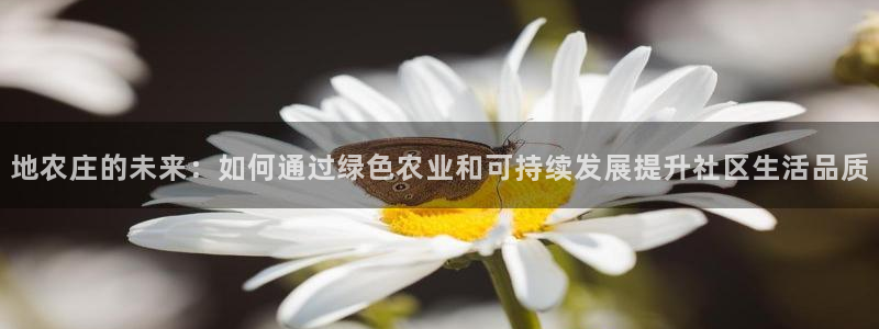 必一体育下载登入