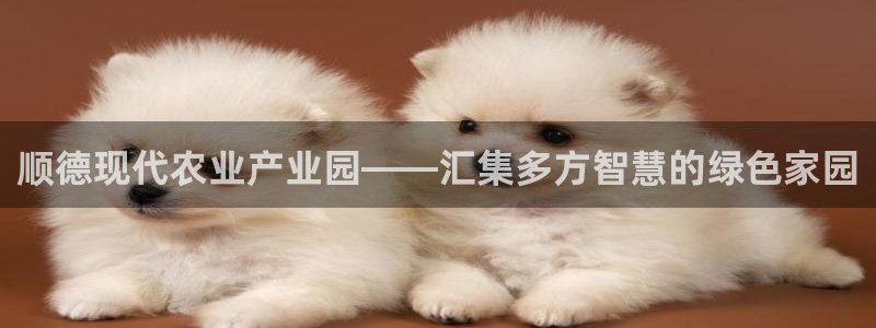 必一体育运动下载