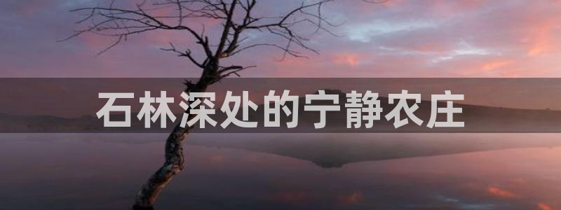 必一体育