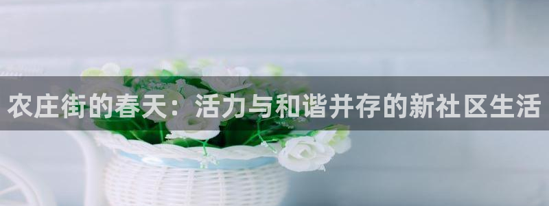 必一体育电子app