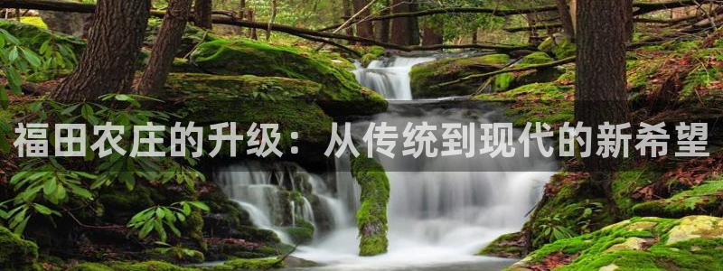 必一体育下载入口