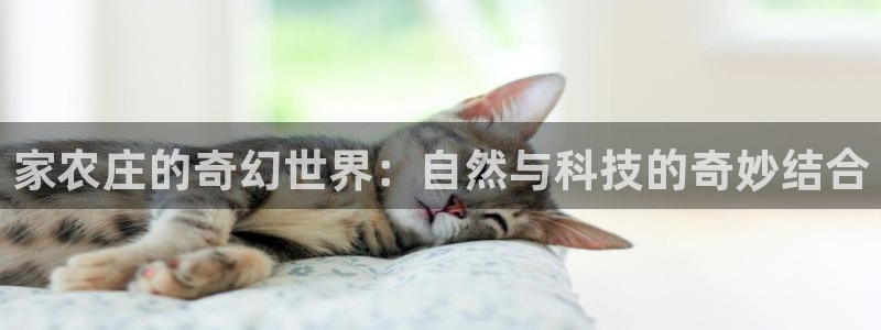 必一运动·体育