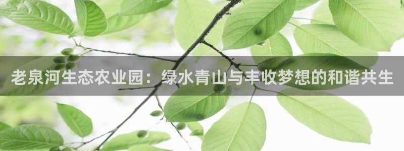 必一体育平台