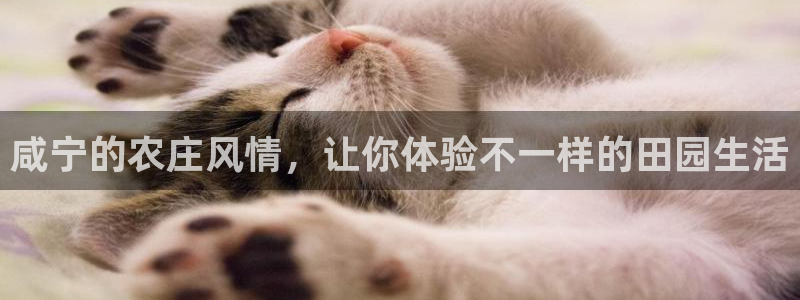 必一体育下载移动版