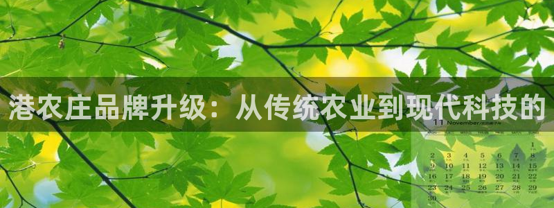 必一体育在线登陆