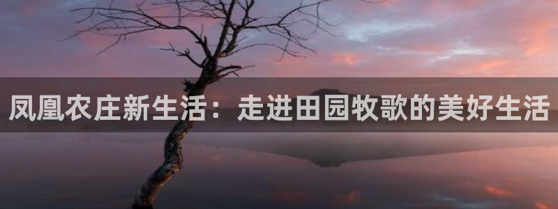必一体育下载登入