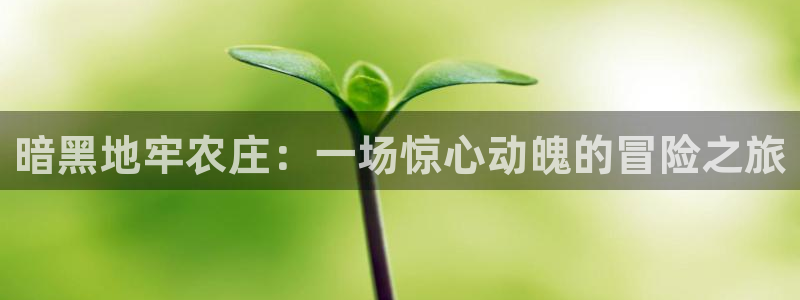 必一体育下载app下载
