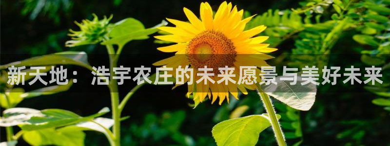 必一体育网页登陆