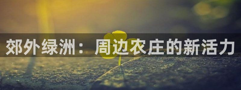 必一体育官网入口